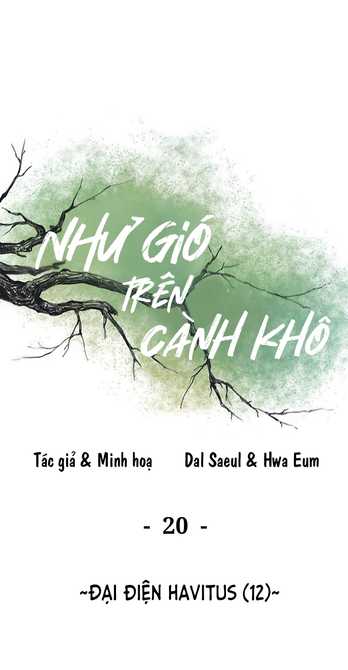 như gió trên cành cây khô chapter 20 51