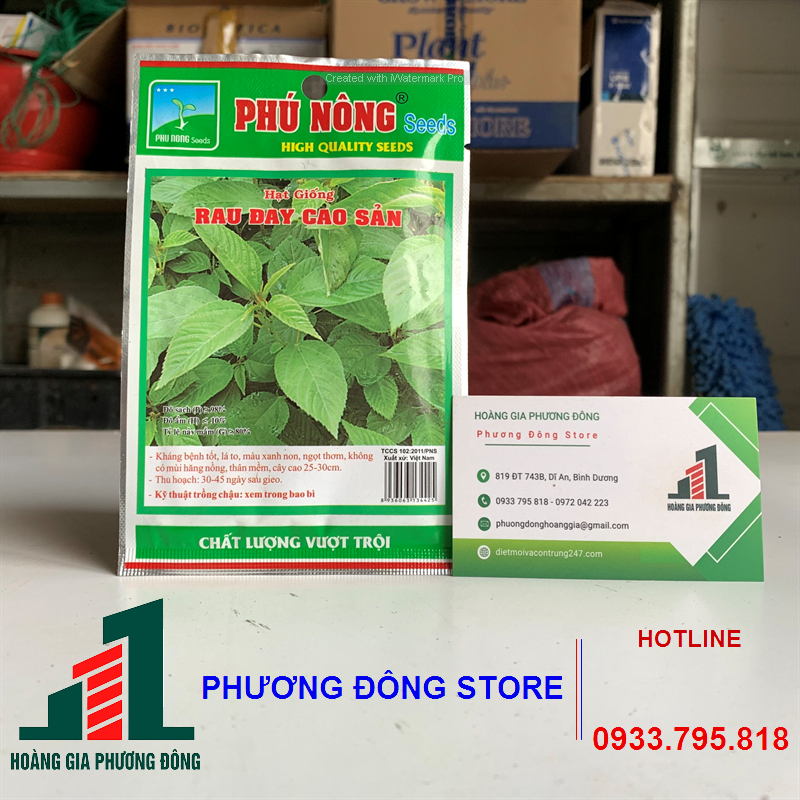 Combo 5-10 gói hạt giống rau đay trắng dễ nảy mầm , năng suất cao