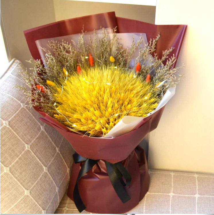 Bông lúa mạch vàng trang trí hoa khô decor phụ kiện chụp ảnh xinh xắn