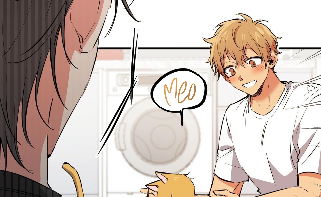 những chú thỏ của hapypy chapter 52 49