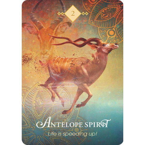 Spirit Animal Oracle - Bộ Bài Tarot Thần Thú Oracle