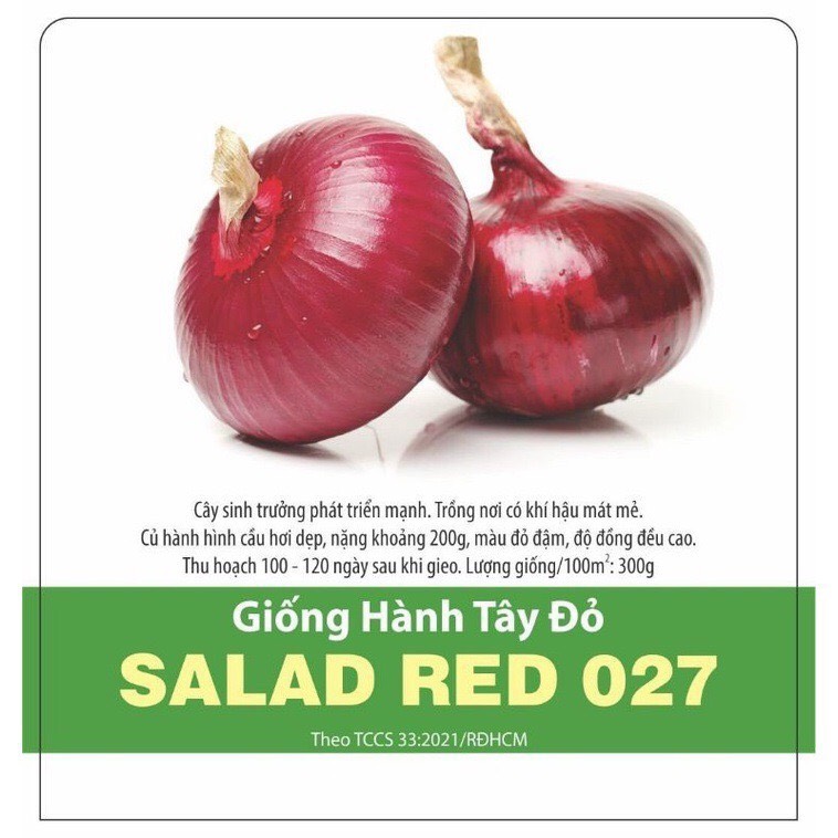 Hạt giống Hành tây đỏ SALAD RED 027