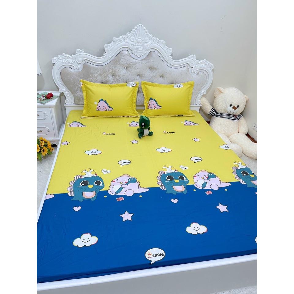 Bộ ga chun trơn và 2 vỏ gối 100% cotton hàn các kích thước