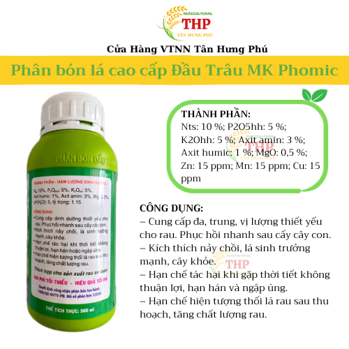 COMBO LÁ TO THÂN MẬP | CHUYÊN RAU ĂN LÁ | COMBO CHĂM SÓC CÂY