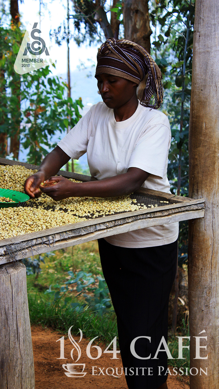 Cà phê hảo hạng (specialty coffee) tinh khiết không tẩm không độn Rwanda Musasa Mbilima hạt khối lượng tịnh 220g - 1864 CAFÉ