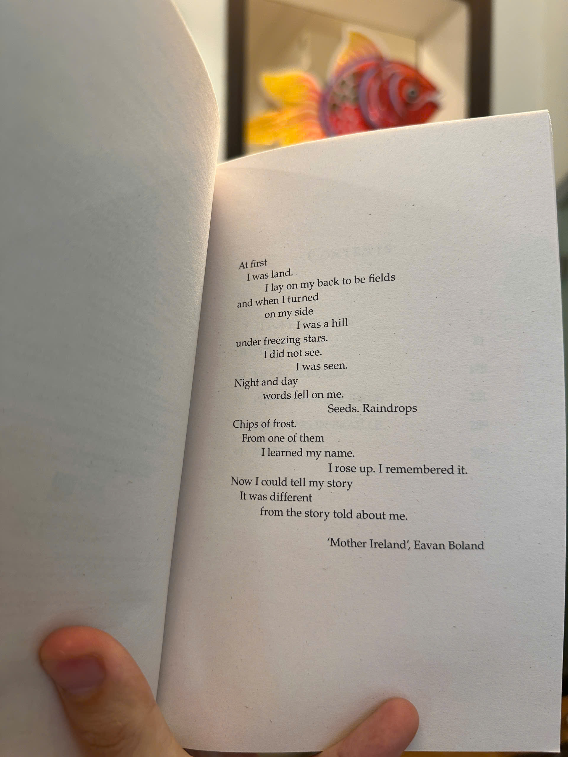 Sách - Nesting by Roisín O'Donnell | Literary Fiction / Ngoại văn Nhập khẩu / Tiểu thuyết tiếng Anh