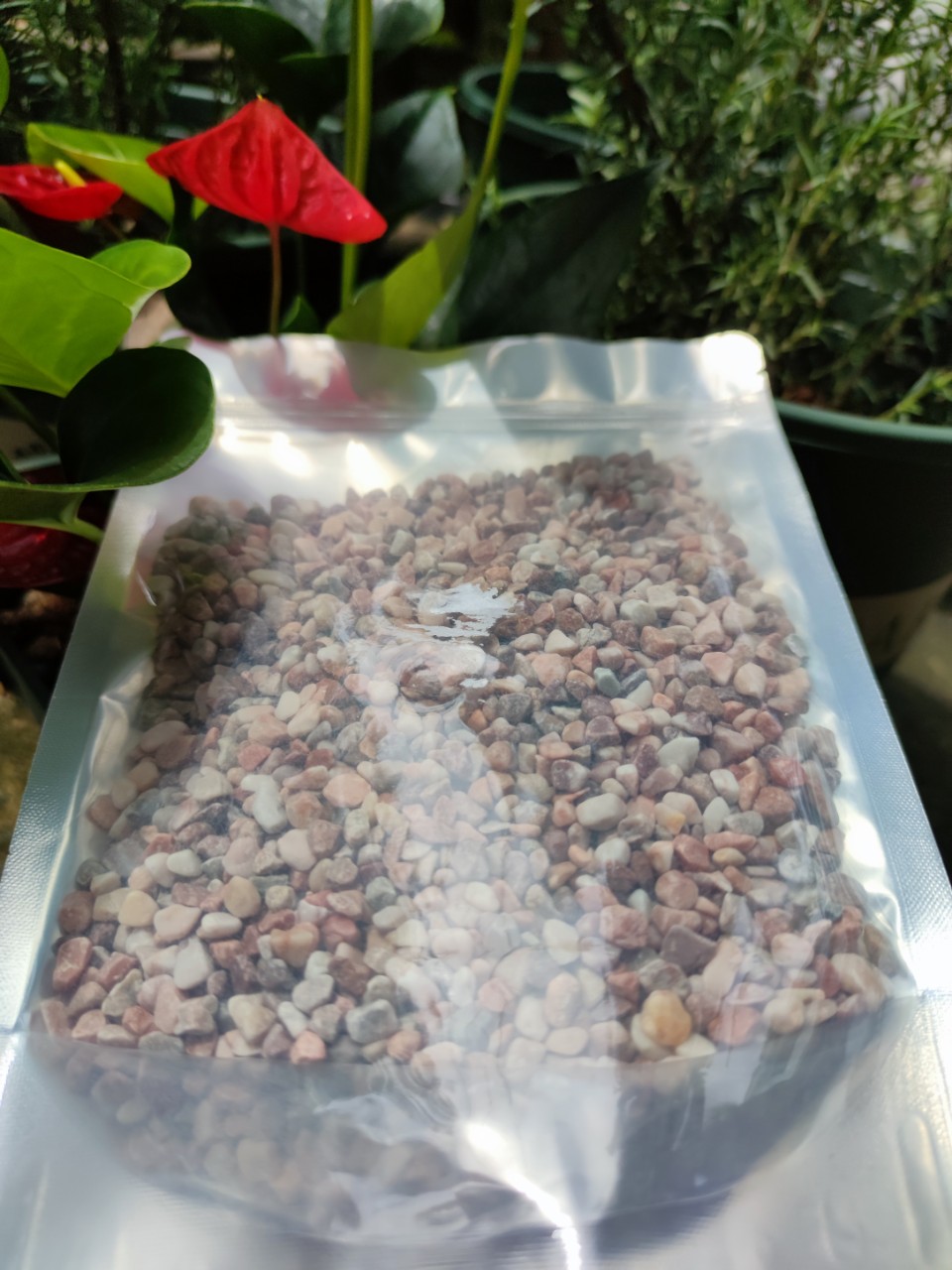 Gói 1kg - Sỏi hồng tự nhiên siêu dễ thương