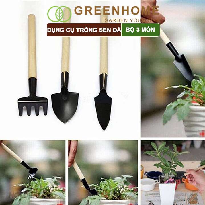 Dụng Cụ Làm Vườn Greenhome, 3 Món Gồm Xẻng Xúc Đất, Cào , Mini, Cán Gỗ, Tiện Lợi, Dễ Sử Dụng, Trồng Sen Đá, Tiểu Cảnh