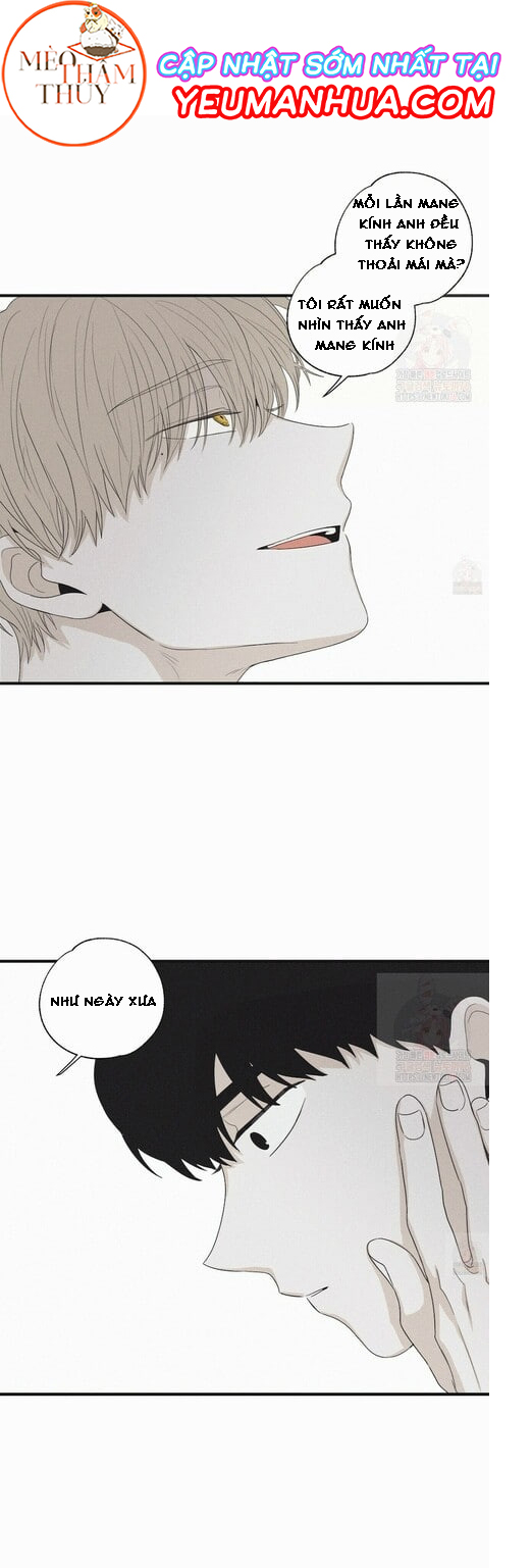 chiếu tướng chapter 16 2