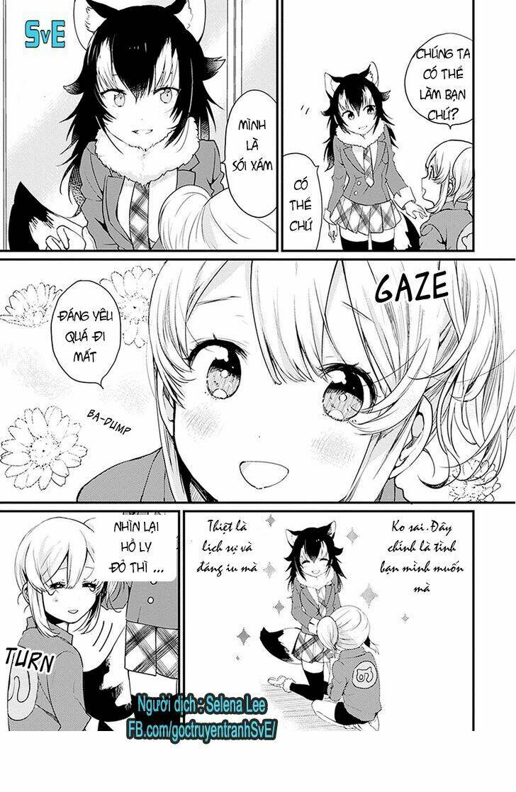 nàng là hồ ly - kemono friends - youkoso javari park e! chapter 2 11