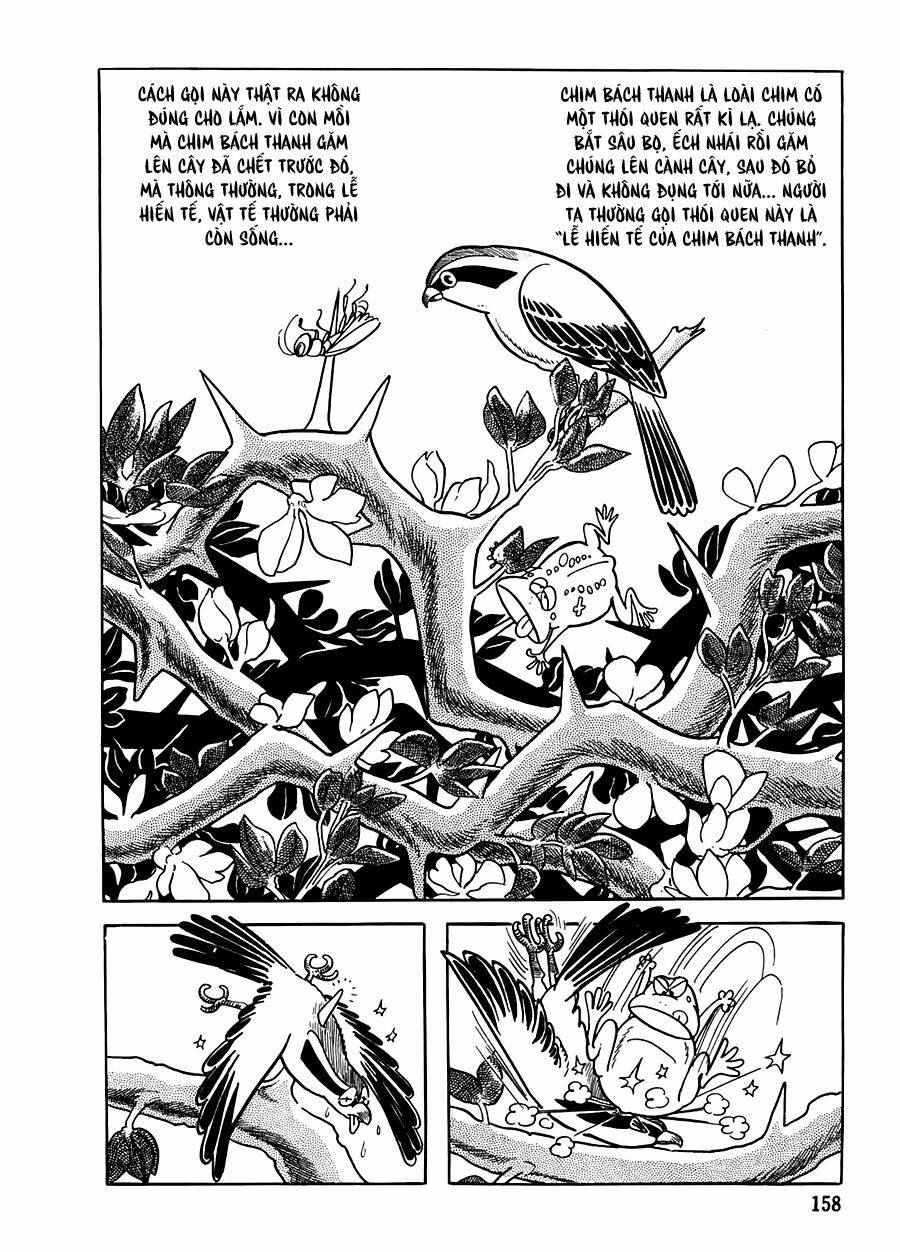 the crater chapter 9 2