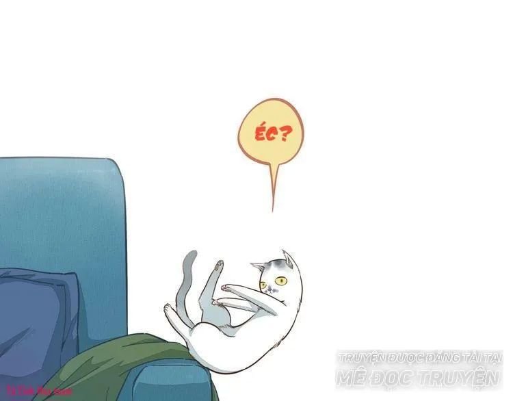 thời khắc ấy, chúng ta gặp nhau chapter 17 6