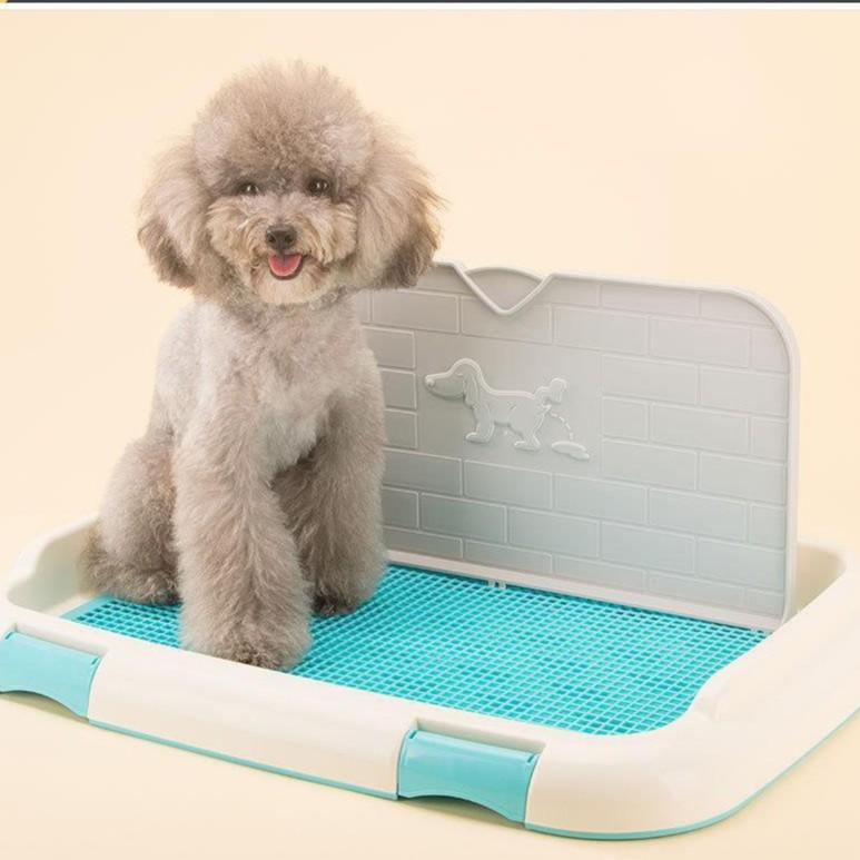 KHAY VỆ SINH CHO CHÓ CÓ TƯỜNG CHẮN - 45x36 cm