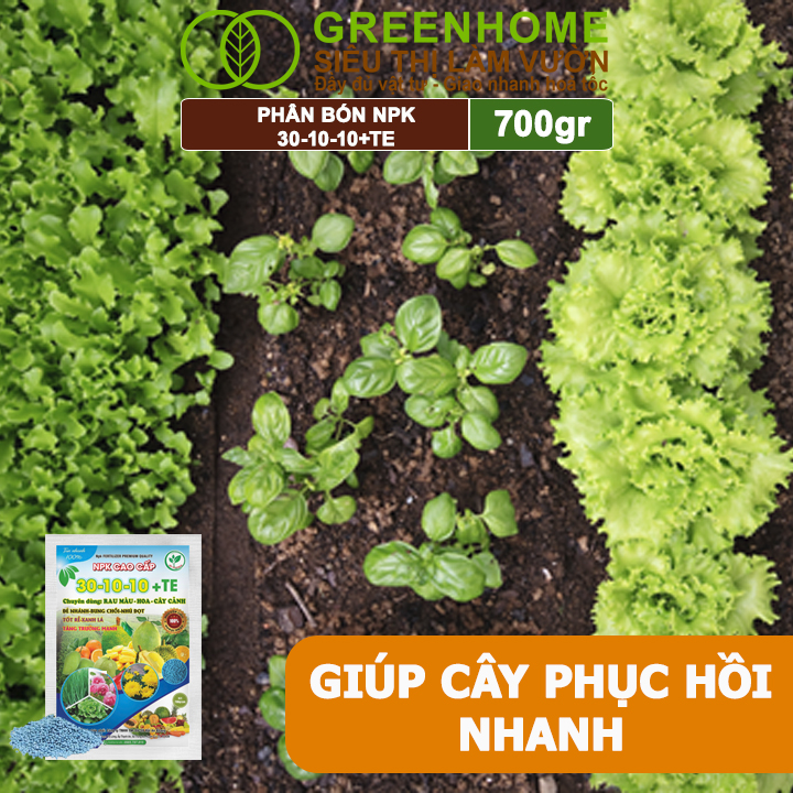 Phân Bón NPK 30-10-10+TE, Greenhome, Gói 700Gr, Giúp Cây Đẻ Nhánh, Bung Chồi, Nhú Đọt, Tốt Rễ