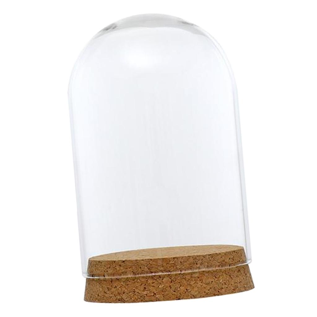 3xGlass Cover Landscape Terrarium Container Lid Vase Bottle 8x12cm