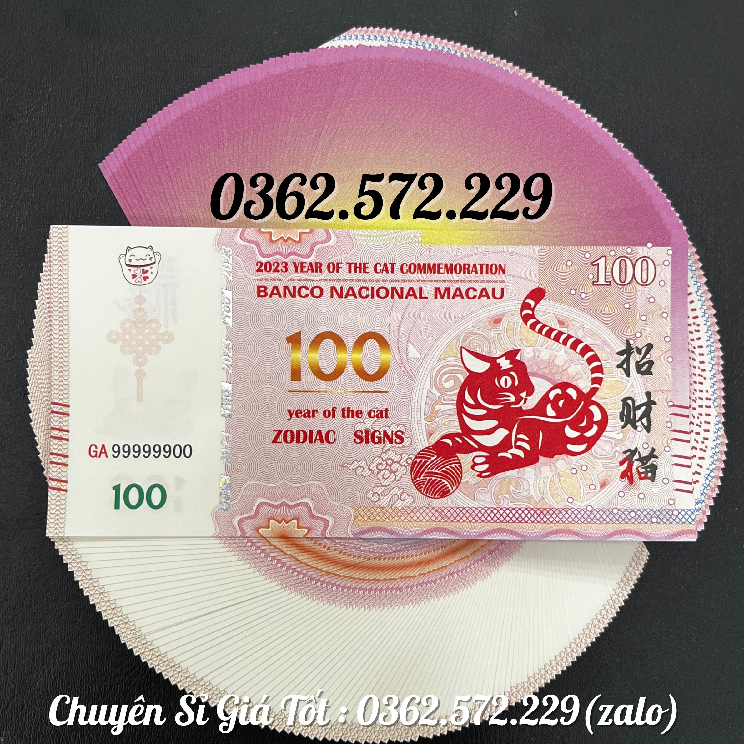 Tiền con Mèo Macao lưu niệm năm Qúy Mão 2023 Lì Xì Tết Mệnh Gía 100