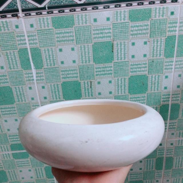 Chậu Trồng Cây