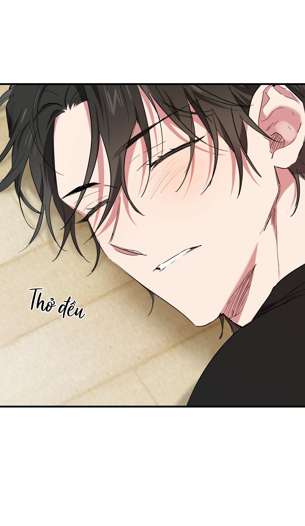 những chú thỏ của hapypy chapter 13 58