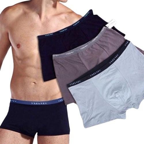 Hộp 5 Quần Lót Đùi Boxer Nam Tính Cotton Cao Cấp