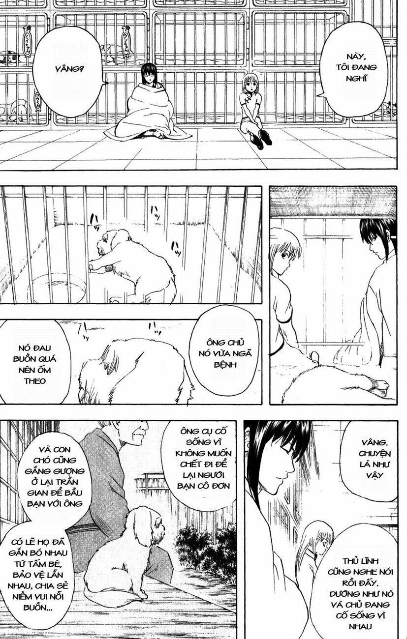 gintama - linh hồn bạc chapter 207 11