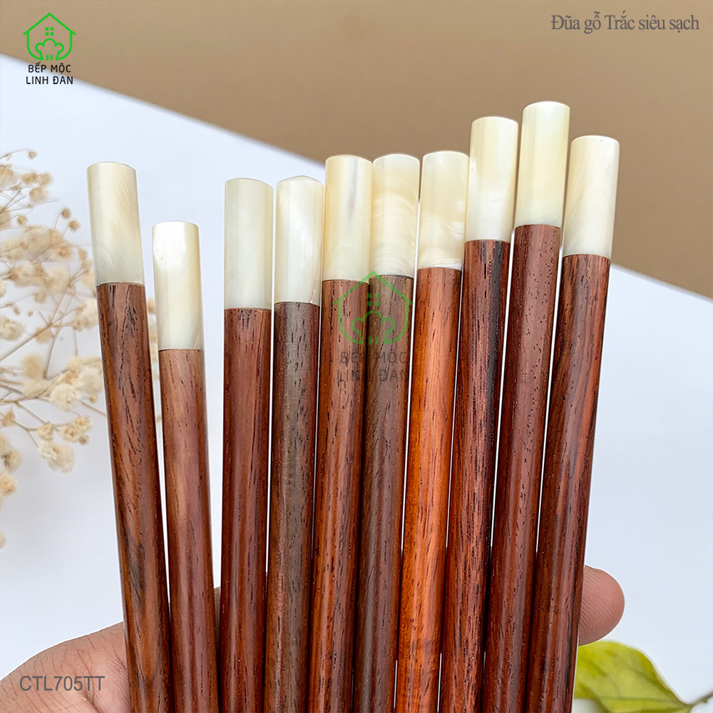 Đũa Gỗ Trắc Việt Nam Đầu Ốc Biển New Zealand - Cao Cấp, Kháng Khuẩn Siêu Sạch