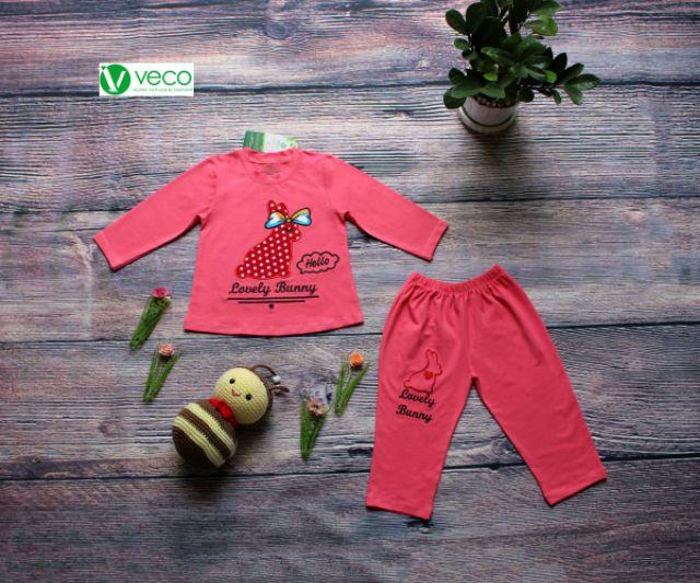Bộ tay dài veco bé gái 28-33kg