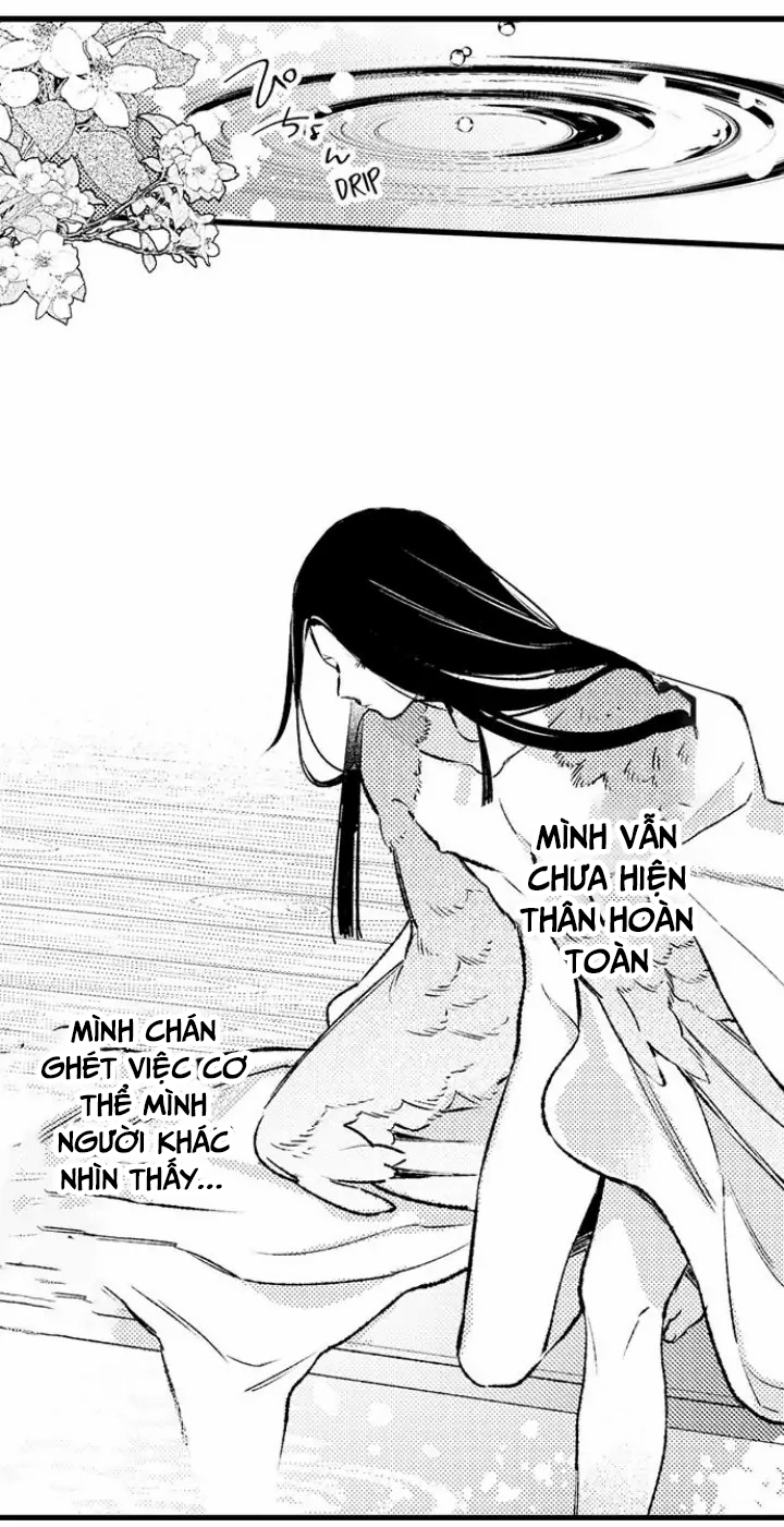 điểu thượng minh hoa chapter 2.2 4