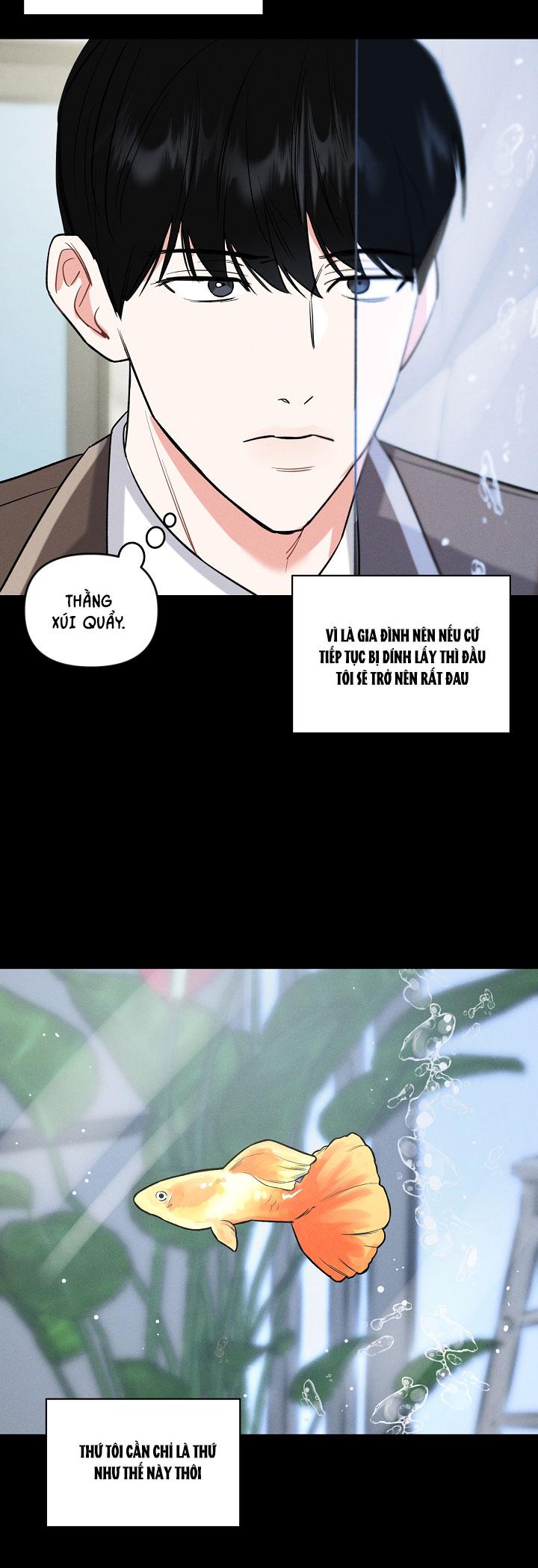 mặt trời của đêm chapter 15 31