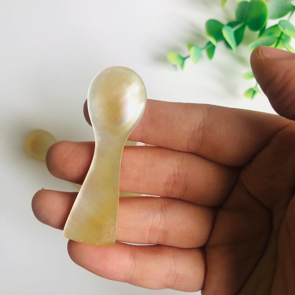 Thìa/Muỗng Trai Mini Size Nhỏ Xinh, Thìa Xúc Trứng Cá Hồi, Thìa Gia Vị, Nêm, Chụp Ảnh Decor Sang Trọng