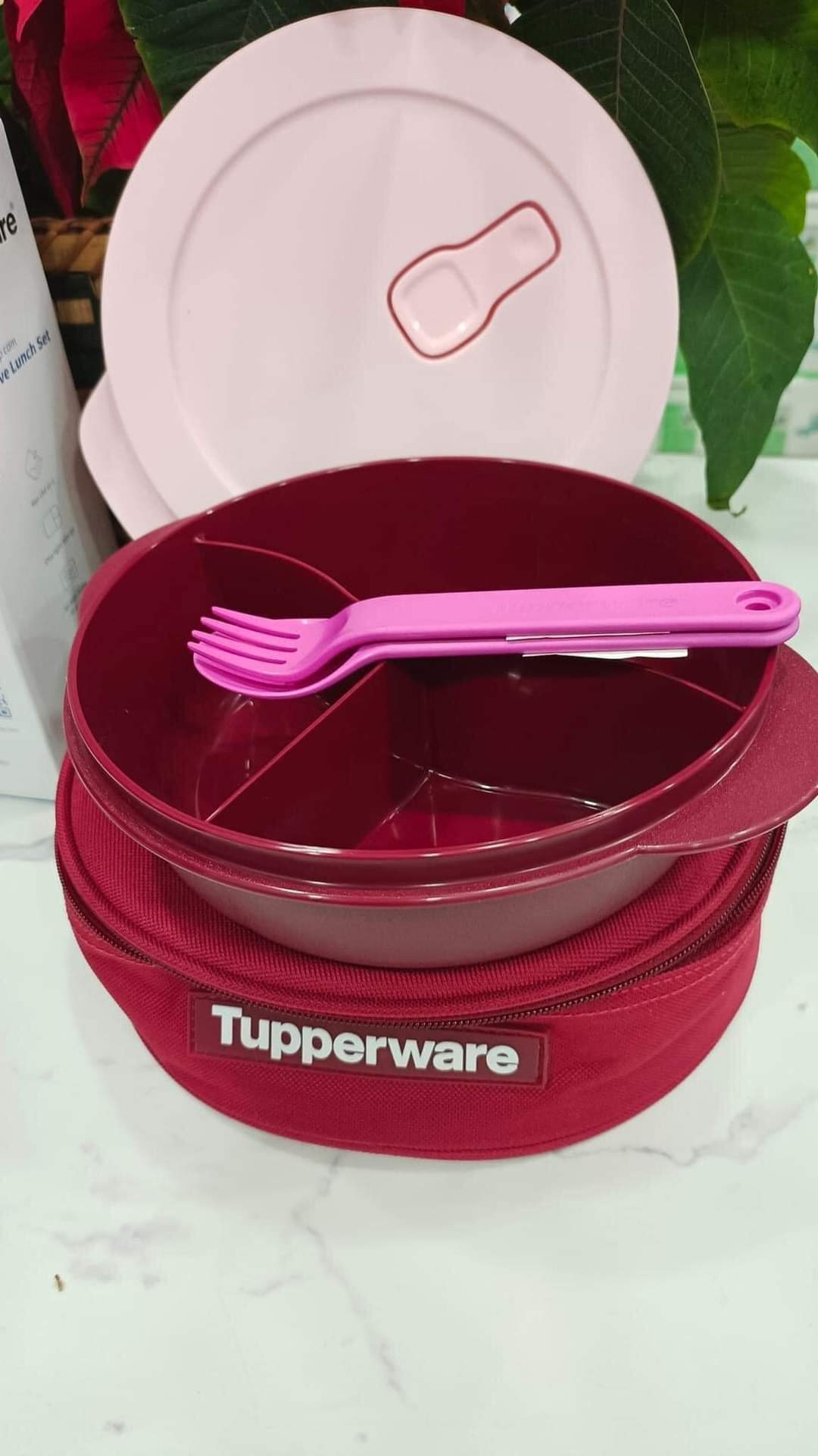 Bộ Hộp Cơm Chia Ngăn Crystalwave Lunch Set