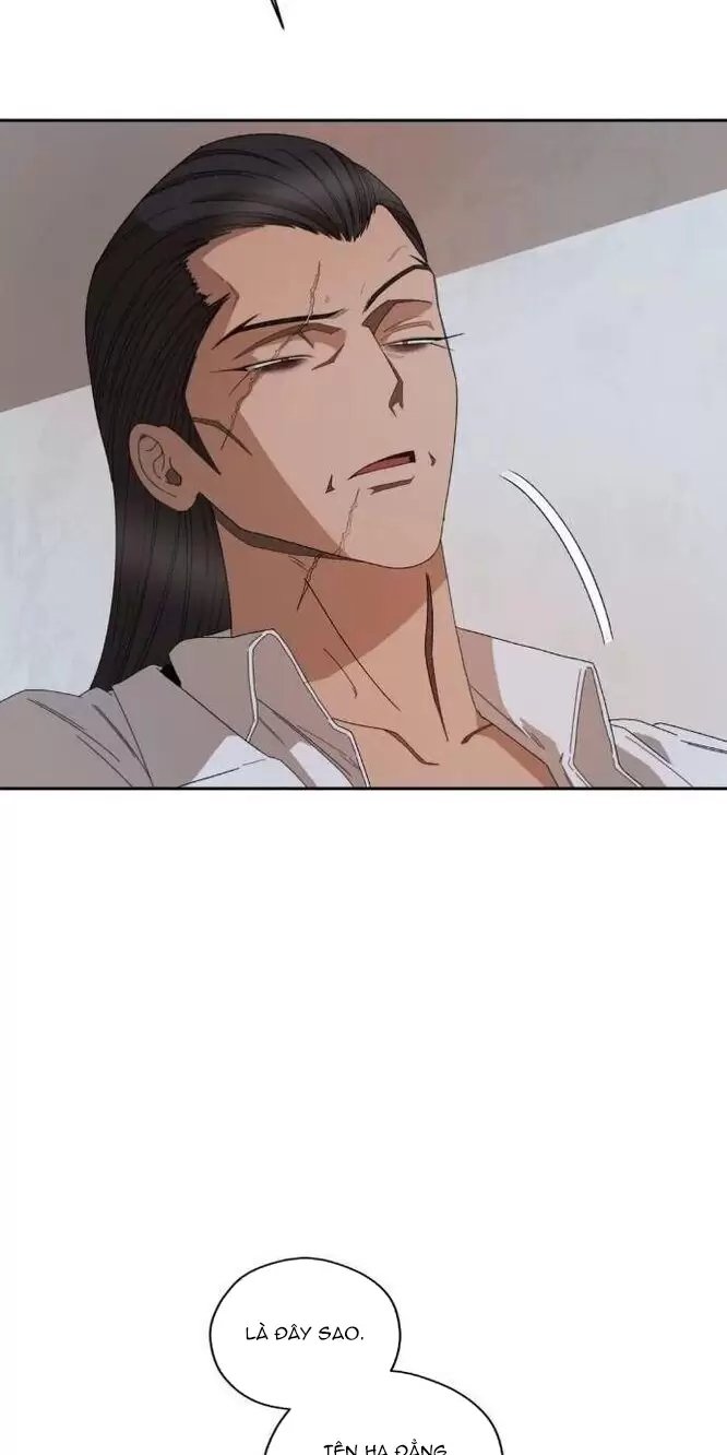 liveta chapter 31 36