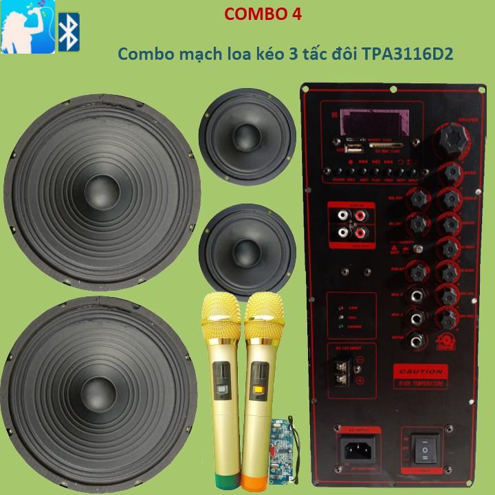 Combo Mạch loa kéo 3 tấc đôi TPA3116D2 2 kênh riêng biệt