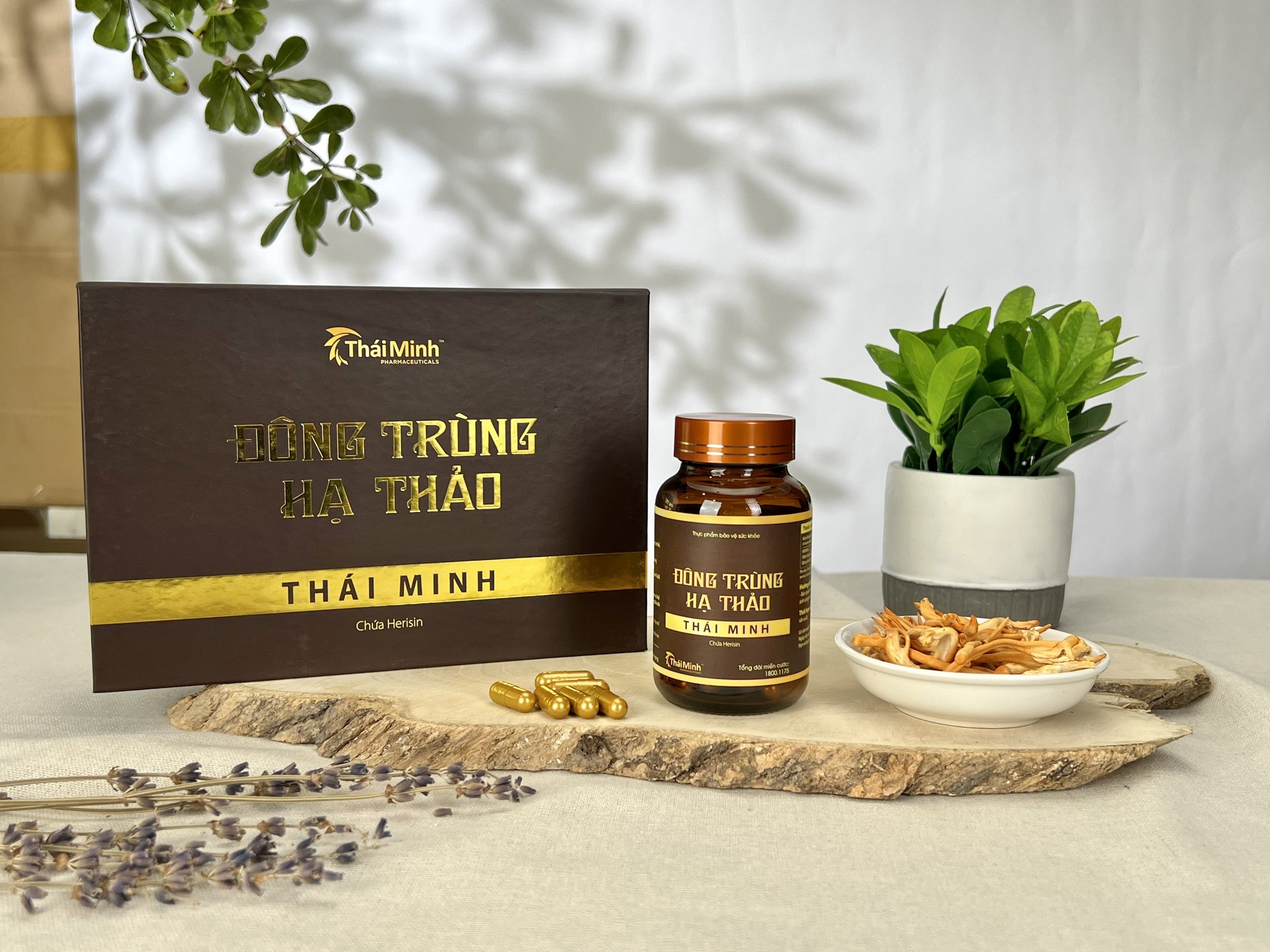 Đông trùng hạ thảo Thái Minh- Bồi bổ cơ thể, tăng cường sức khỏe