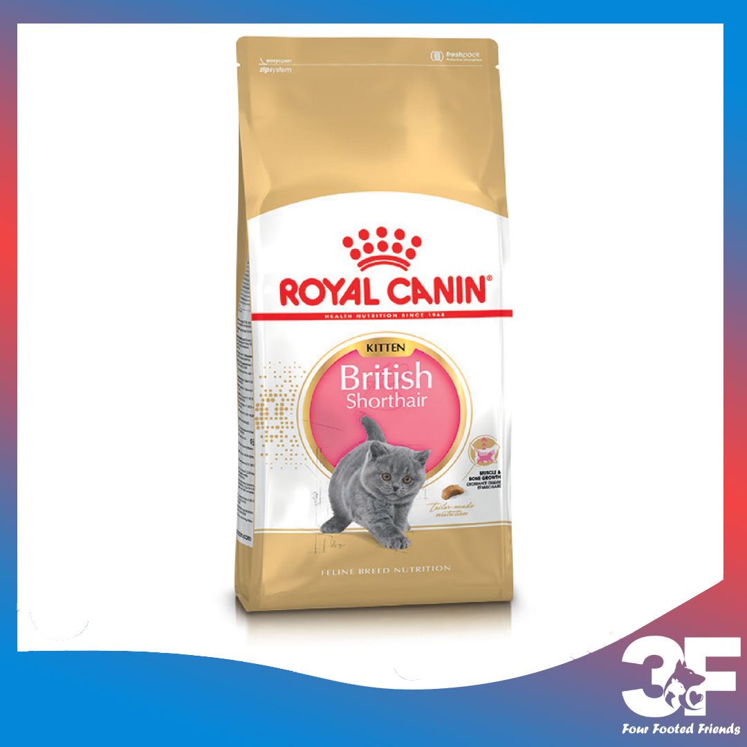 Thức Ăn Hạt Dành Cho Mèo Anh Lông Ngắn Từ 2-12 Tháng Tuổi Royal Canin British Shorthair Kitten