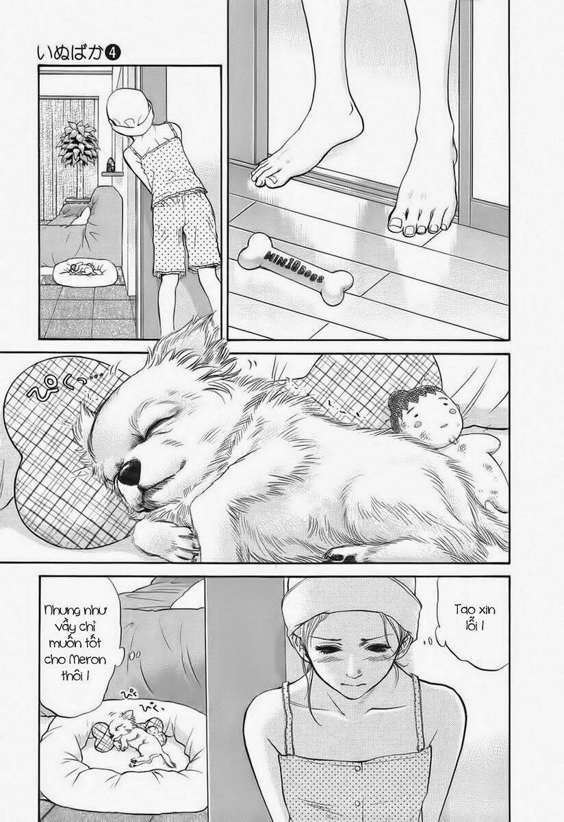 cô nàng yêu chó chapter 38 11