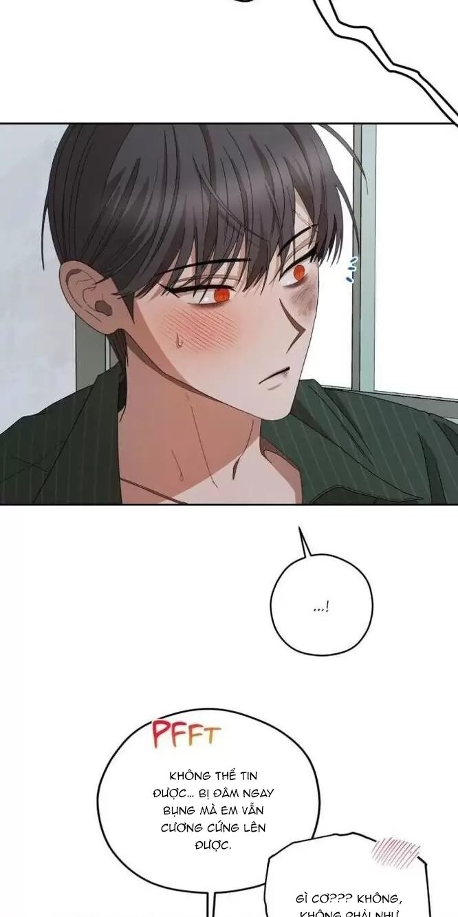 liveta chapter 31 68