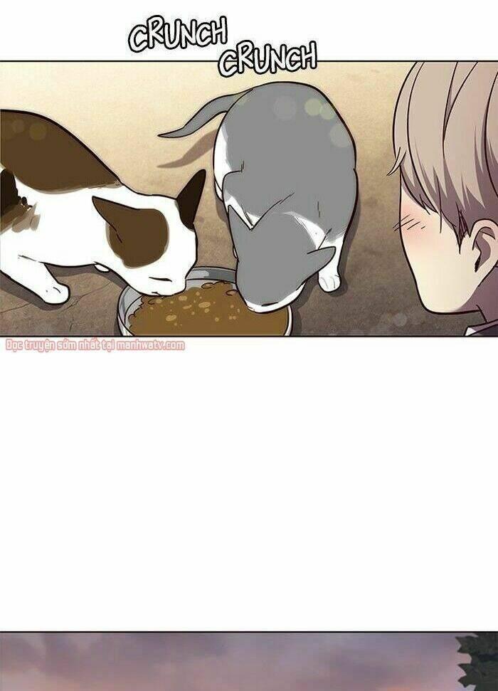 biến thân thành mèo chapter 50 51
