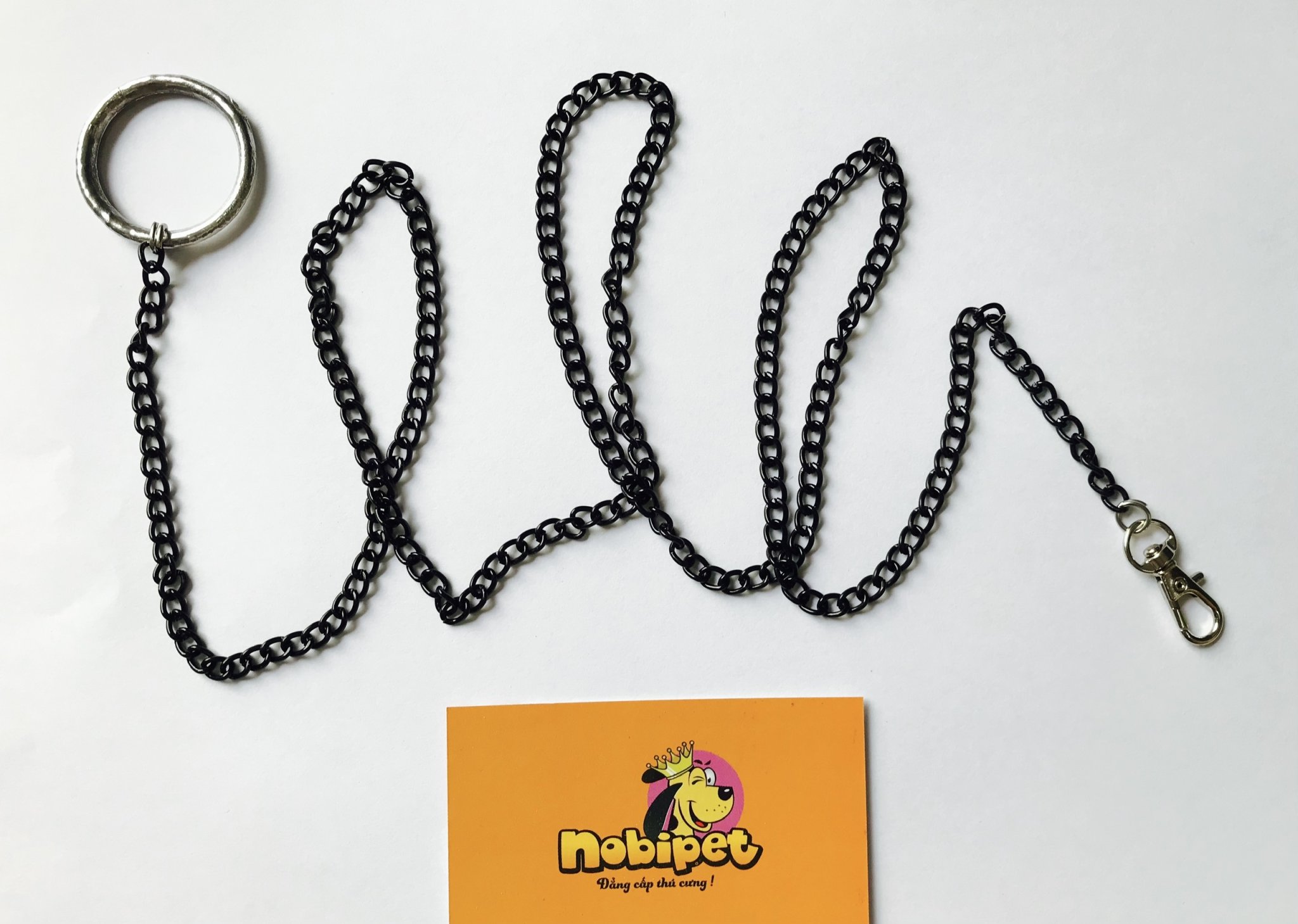 Dây xích sóc trưởng thành không rỉ sắt cho sóc cảnh, sóc đất, sóc bay úc, sóc lửa, sóc bắc mỹ, sóc nhen, sóc kiểng