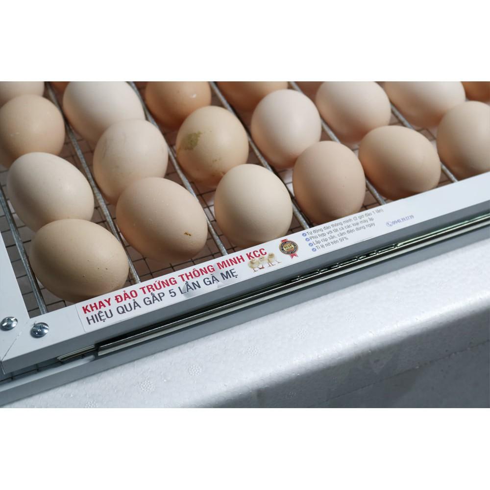 Combo máy ấp trứng thông minh và khay đảo trứng - Máy ấp trứng thông minh-Khay đảo thông minh