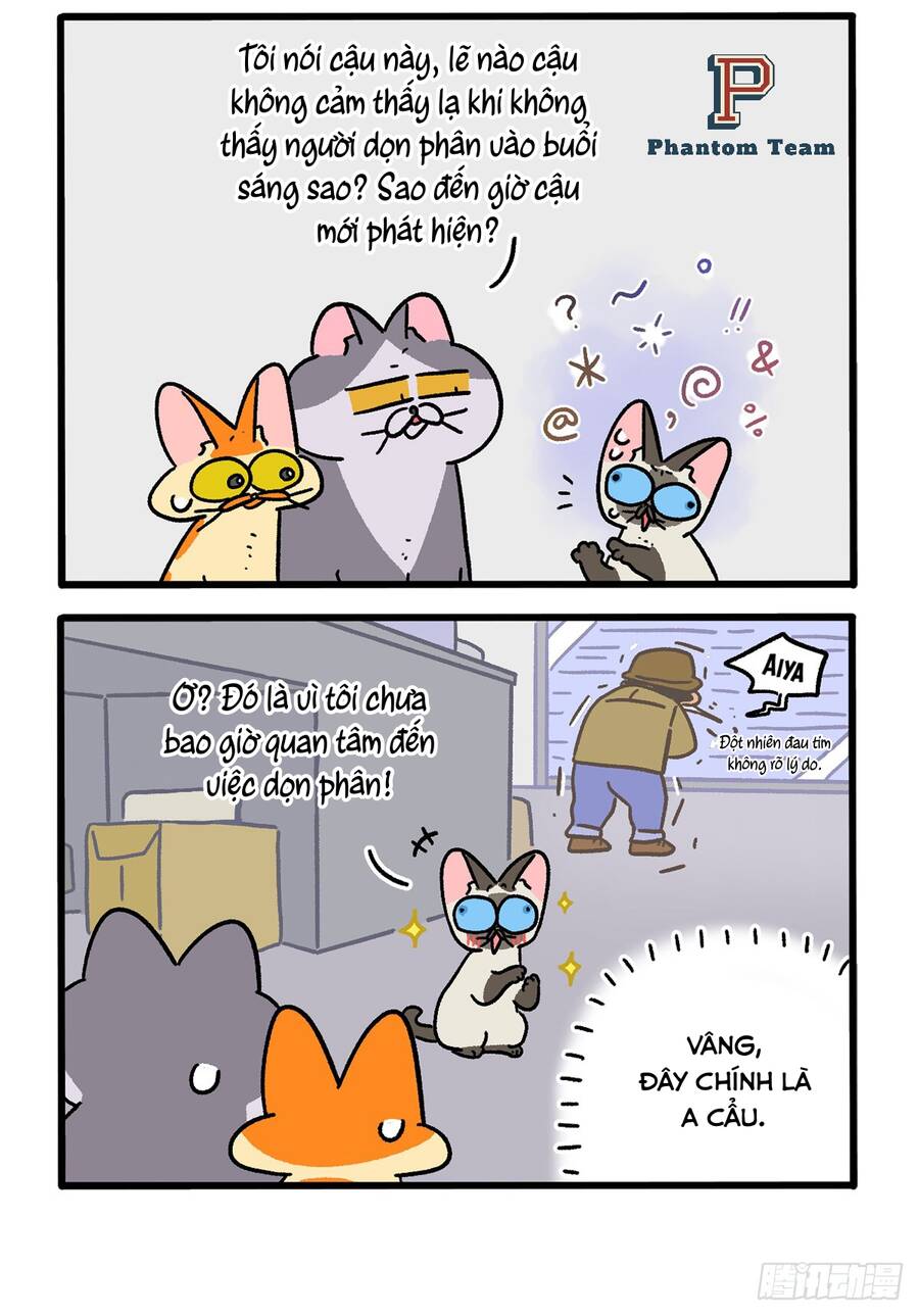 a mãn và mạch trà chapter 151 4