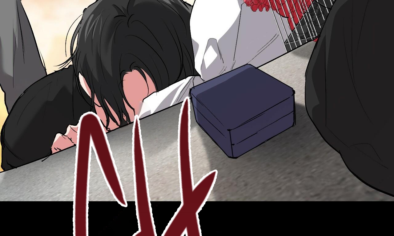 đàn thỏ của habibi chapter 45 81