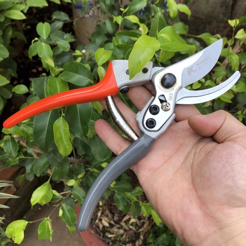 Kéo cắt cành Nhật màu đỏ nâu rất sắc bén