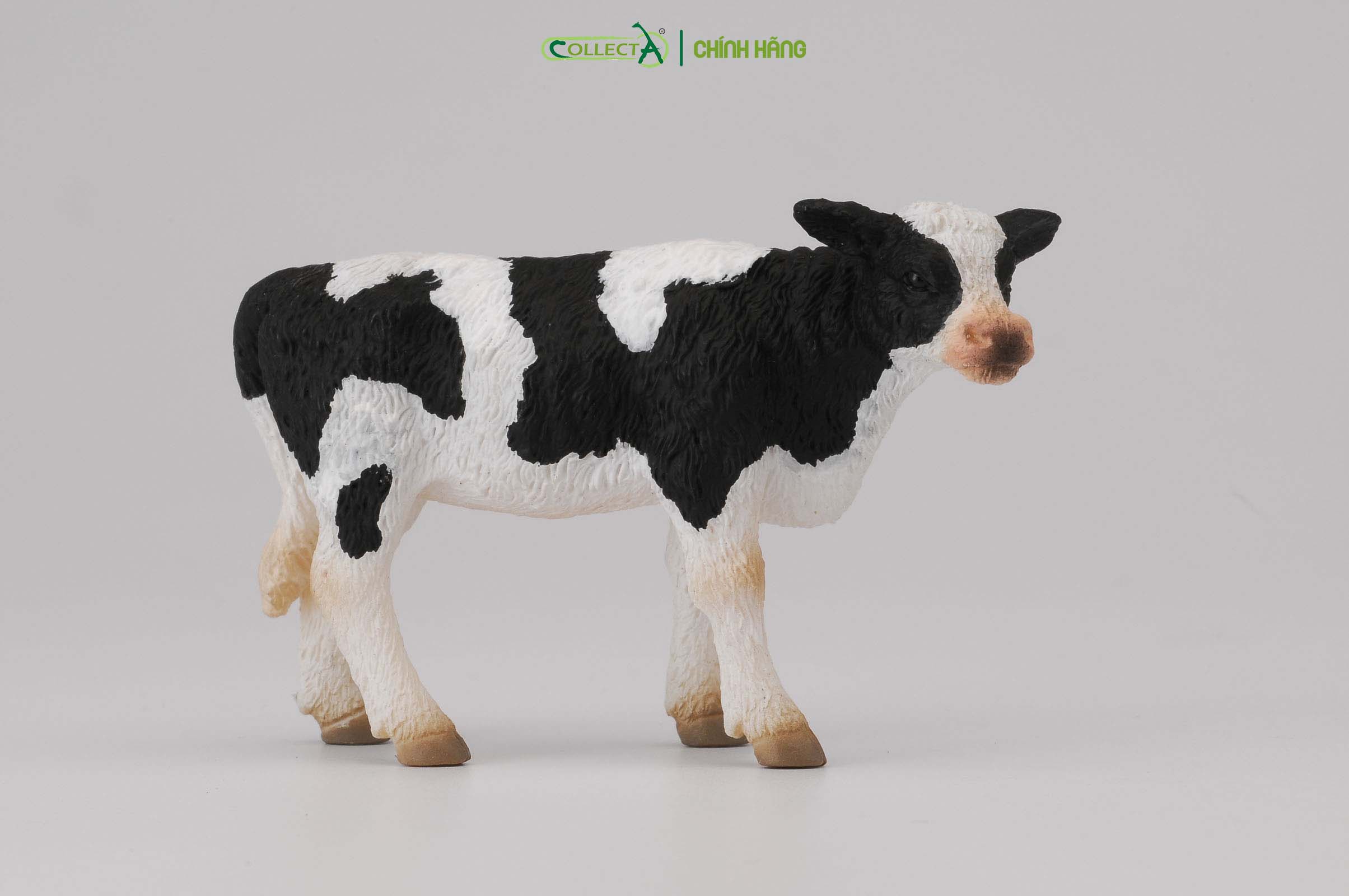 Mô hình thu nhỏ: Bò Hà Lan con - Đứng - Friesian Calf - Standing, hiệu: CollectA, mã HS 9650072[88483] -  Chất liệu an toàn cho trẻ - Hàng chính hãng