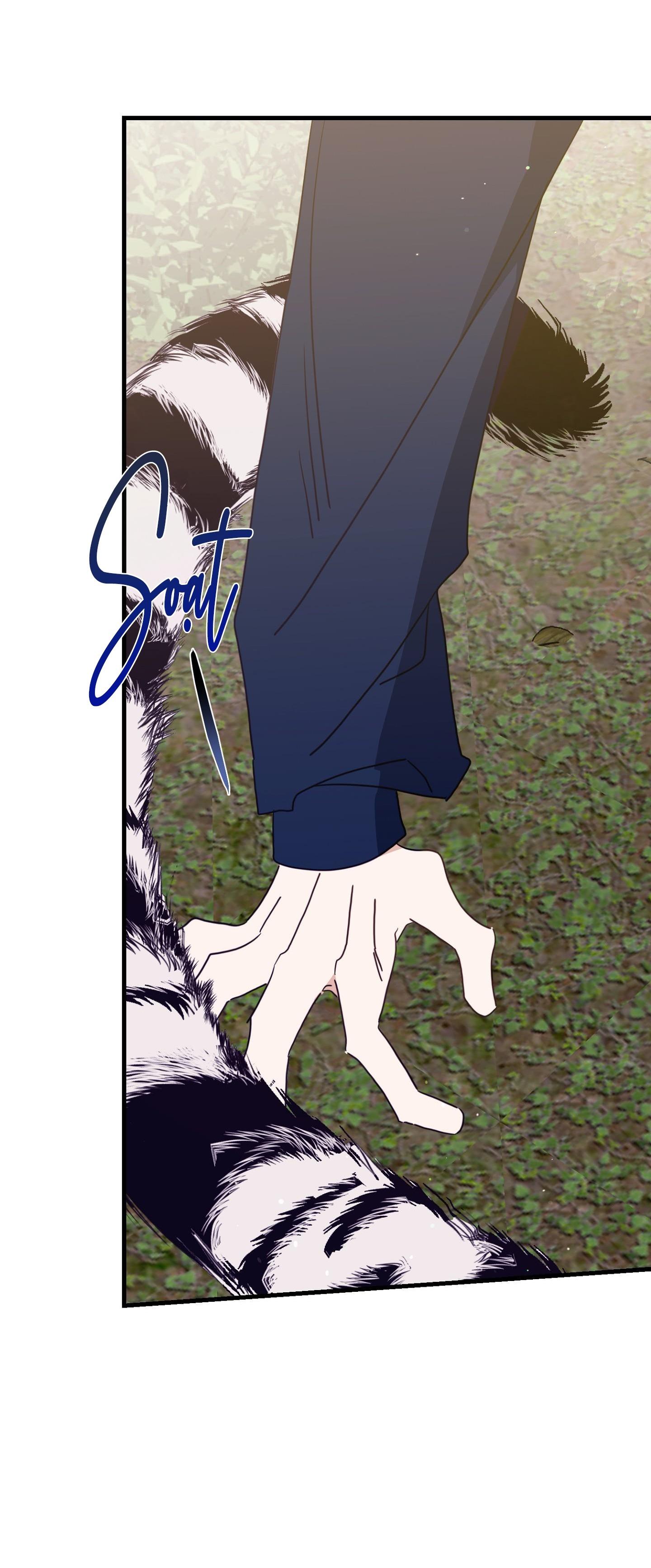 hổ trở về chapter 42 53