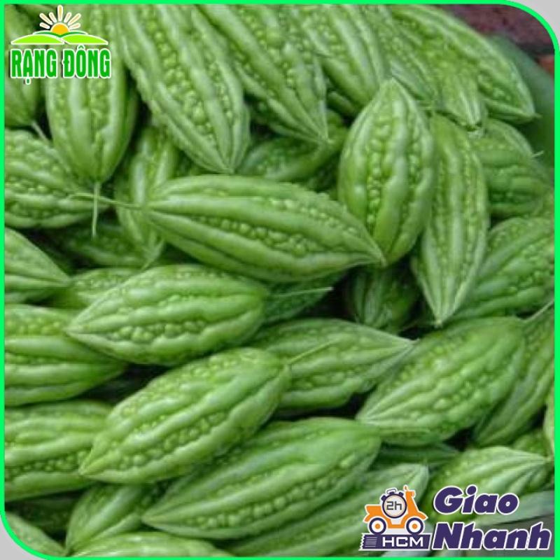 Hạt giống Khổ Qua Lai F1 Trái Ngắn, Cây Chịu Nhiệt, Sinh Trưởng Khỏe, Trồng Quanh Năm - Hạt giống Rạng Đông