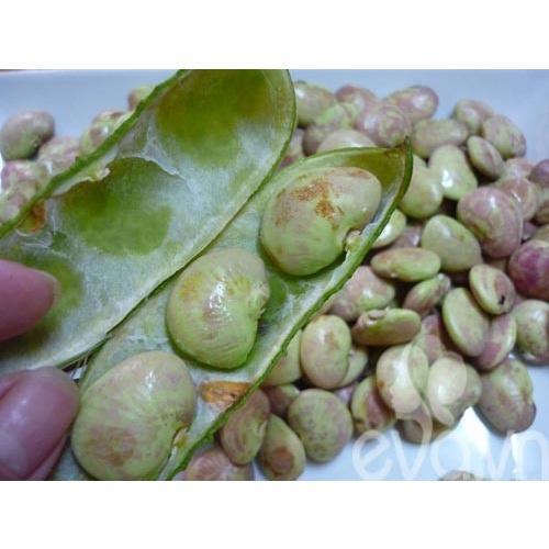 Gói 5 hạt giống đậu ngự 100% nảy mầm