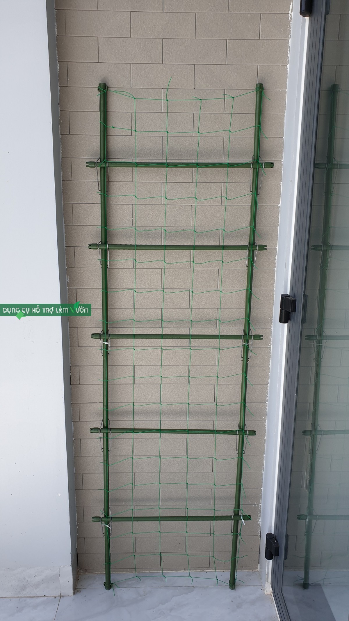 GIÀN THANG CHO CÂY LEO RỘNG 50*CAO 210CM- ỐNG PHI 16