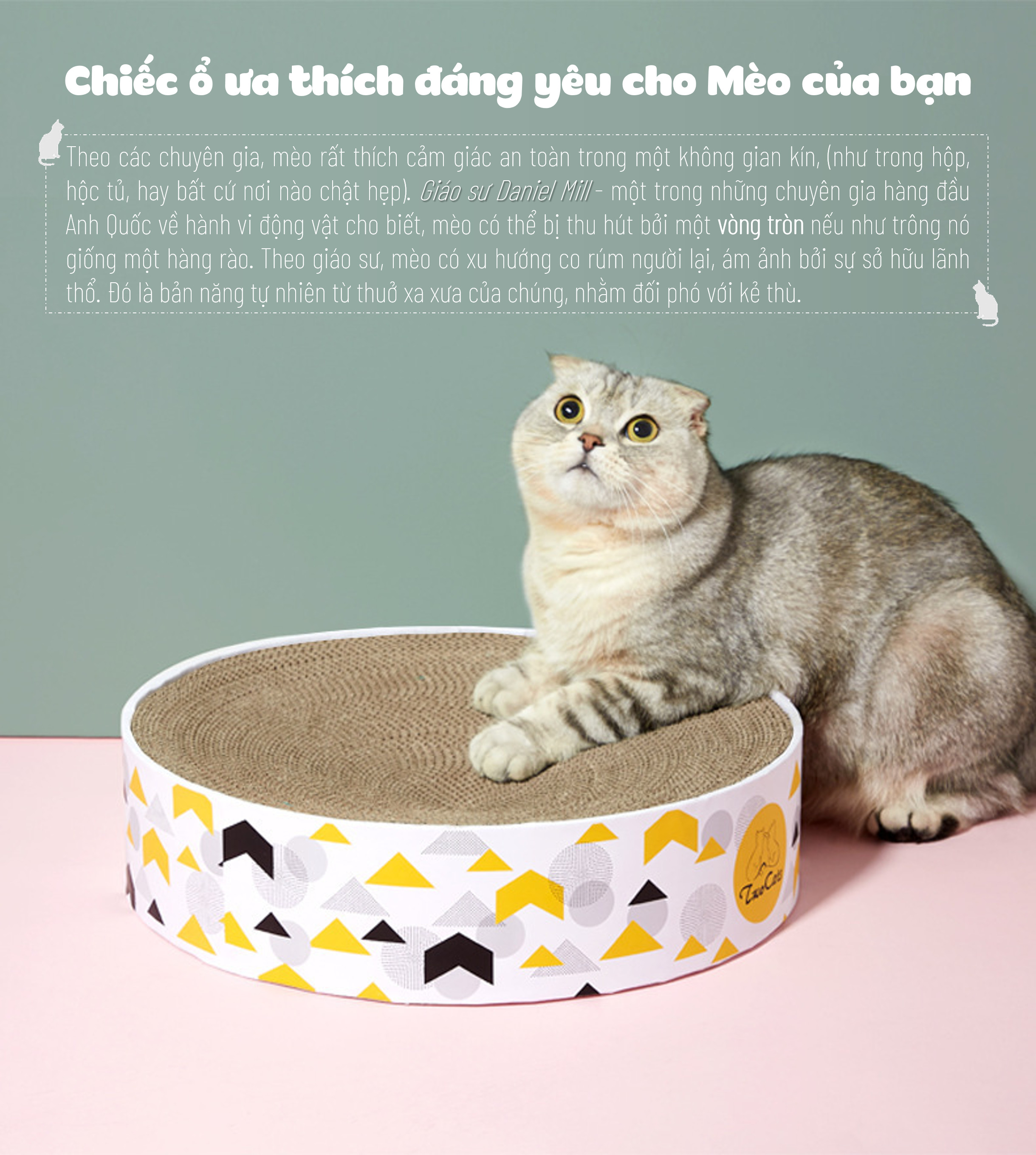 Bàn cào móng hình tròn cho mèo (tặng kèm catnip bạc hà) để các bé mèo cào móng, giảm stress, hạn chế phá đồ, cào hư đồ trong nhà, nằm ngủ, bàn cào móng mèo bìa catton