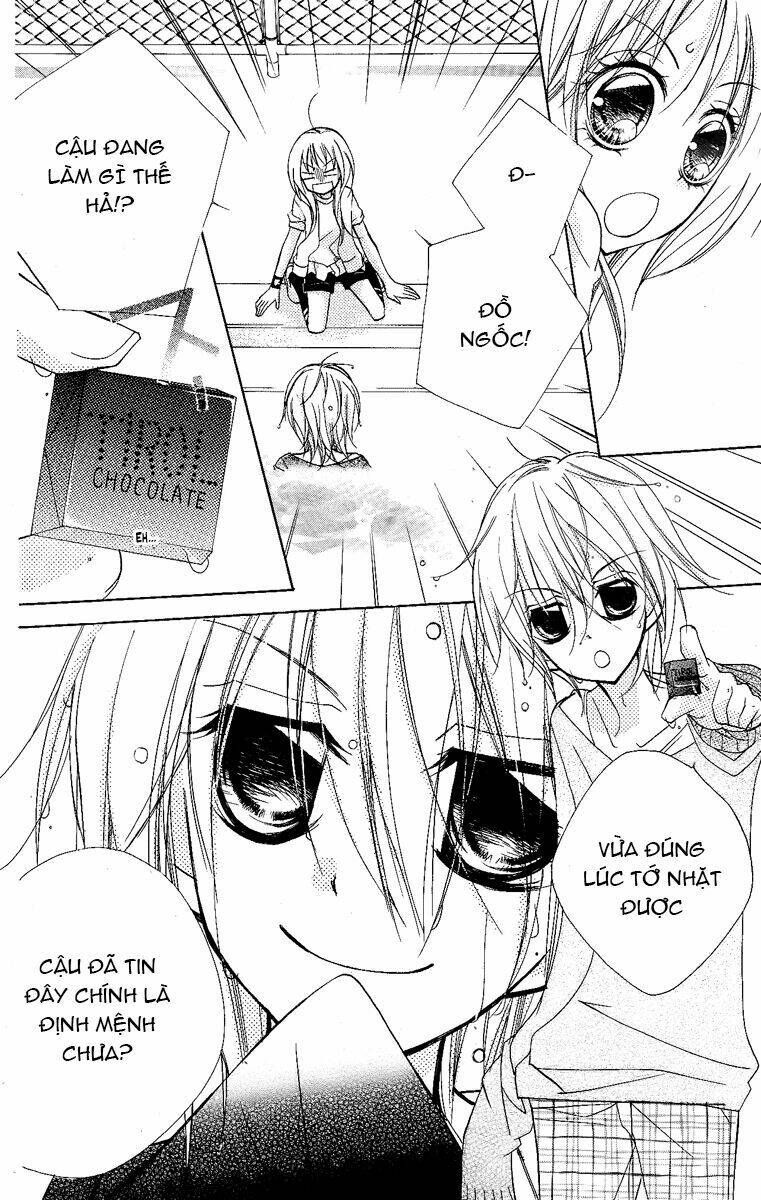 chocolate chapter 1 34