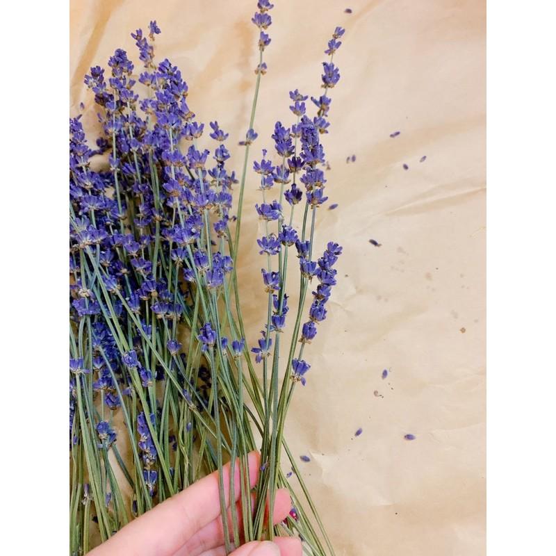 Set 10 cành hoa Lavender hàng đẹp nhé khách